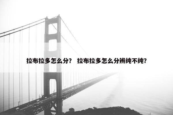 拉布拉多怎么分？ 拉布拉多怎么分辨纯不纯？