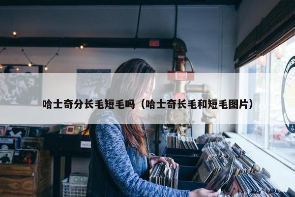 哈士奇分长毛短毛吗（哈士奇长毛和短毛图片）