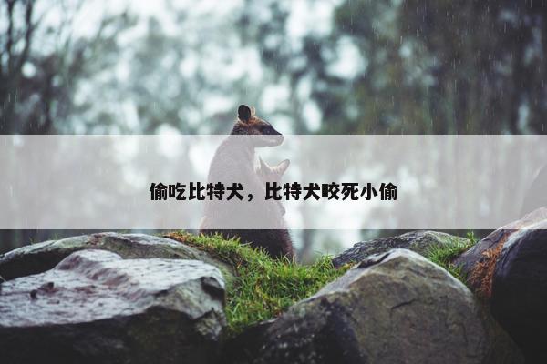 偷吃比特犬，比特犬咬死小偷