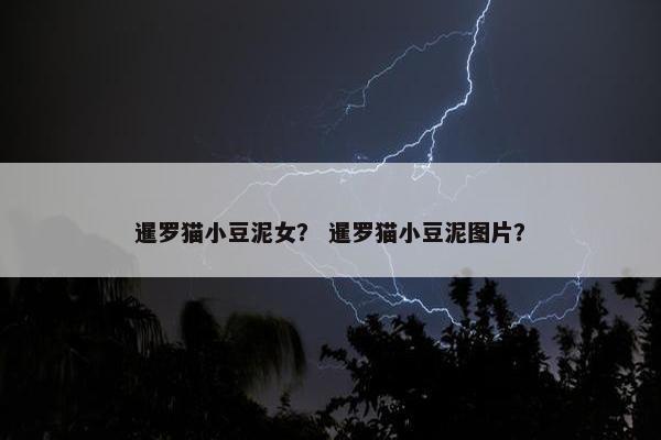 暹罗猫小豆泥女？ 暹罗猫小豆泥图片？