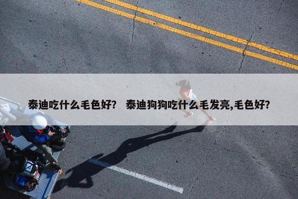 泰迪吃什么毛色好？ 泰迪狗狗吃什么毛发亮,毛色好？