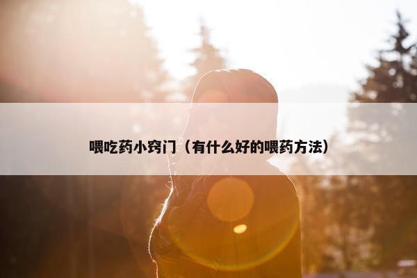 喂吃药小窍门（有什么好的喂药方法）