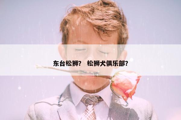 东台松狮？ 松狮犬俱乐部？