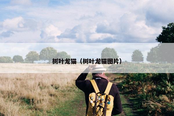 树叶龙猫（树叶龙猫图片）