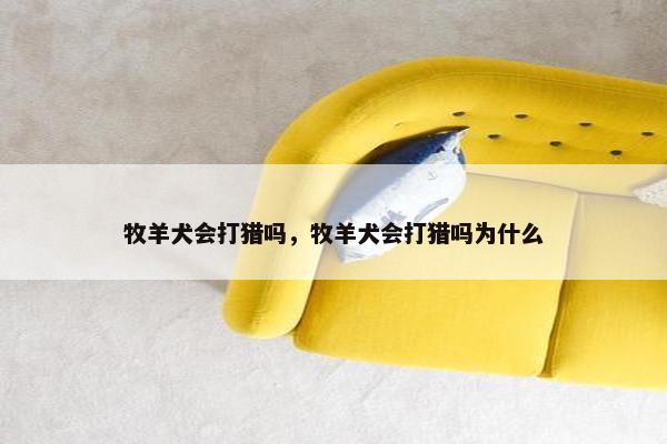 牧羊犬会打猎吗，牧羊犬会打猎吗为什么