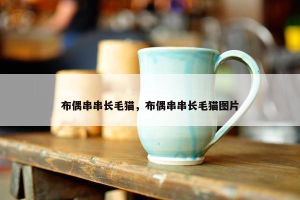布偶串串长毛猫，布偶串串长毛猫图片