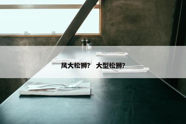 风大松狮？ 大型松狮？