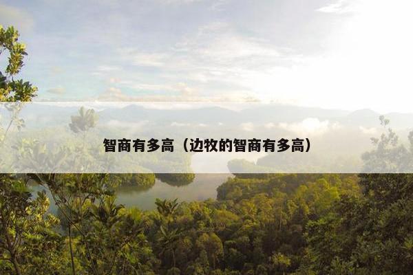 智商有多高（边牧的智商有多高）