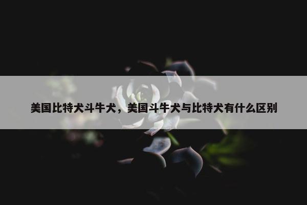 美国比特犬斗牛犬，美国斗牛犬与比特犬有什么区别