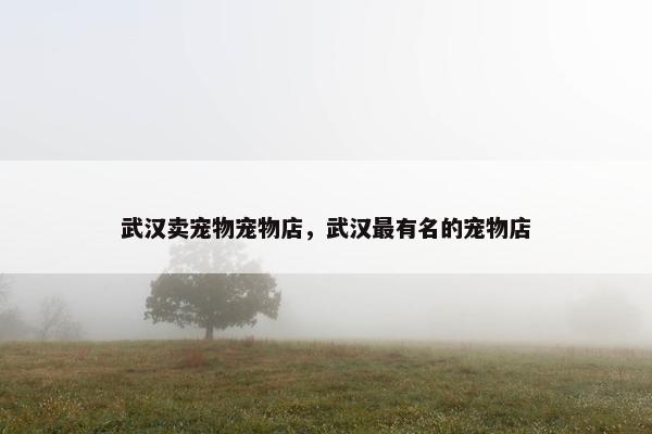 武汉卖宠物宠物店，武汉最有名的宠物店