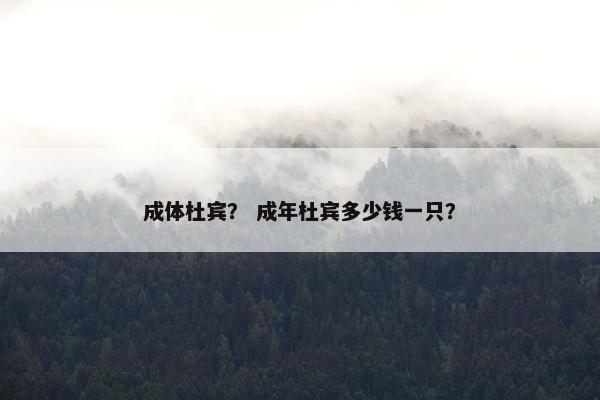 成体杜宾？ 成年杜宾多少钱一只？