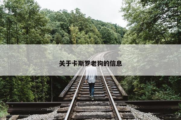 关于卡斯罗老狗的信息