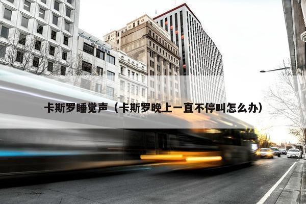 卡斯罗睡觉声（卡斯罗晚上一直不停叫怎么办）