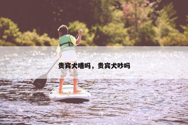 贵宾犬嘈吗，贵宾犬吵吗