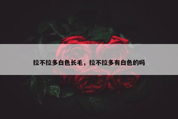 拉不拉多白色长毛，拉不拉多有白色的吗