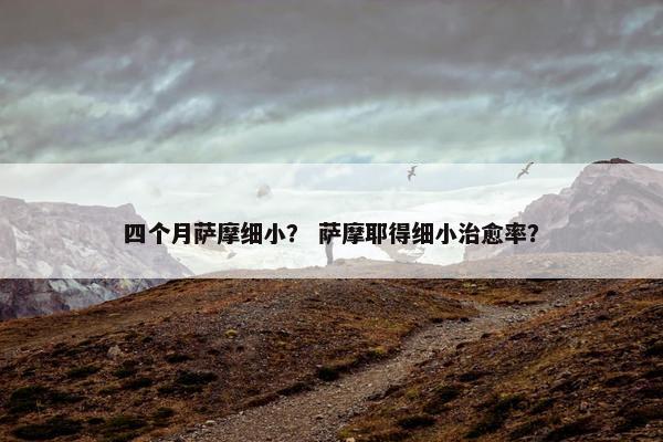 四个月萨摩细小？ 萨摩耶得细小治愈率？