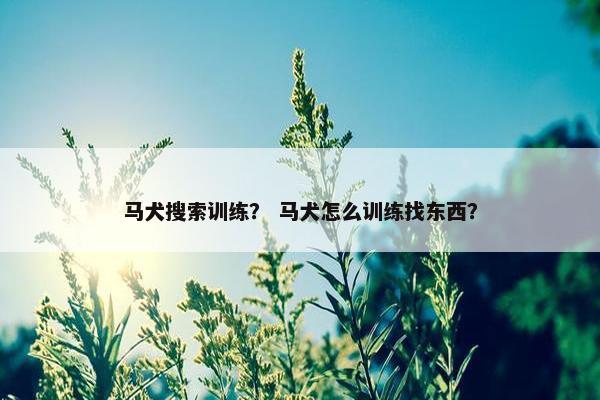 马犬搜索训练？ 马犬怎么训练找东西？