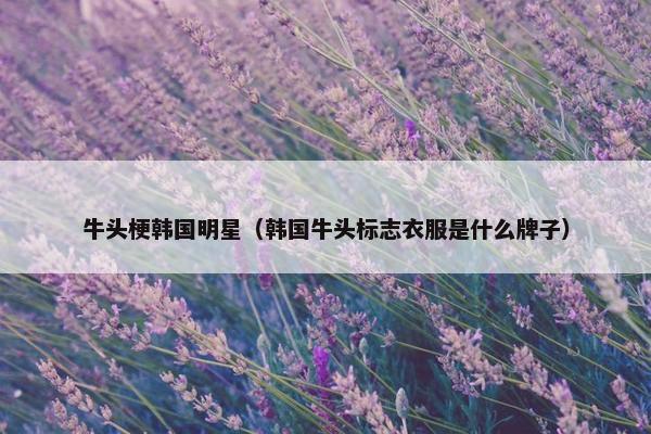 牛头梗韩国明星（韩国牛头标志衣服是什么牌子）