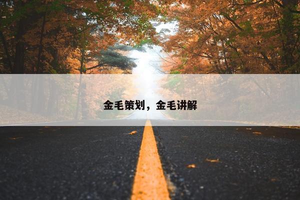 金毛策划，金毛讲解