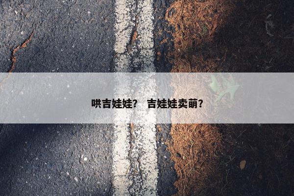 哄吉娃娃？ 吉娃娃卖萌？
