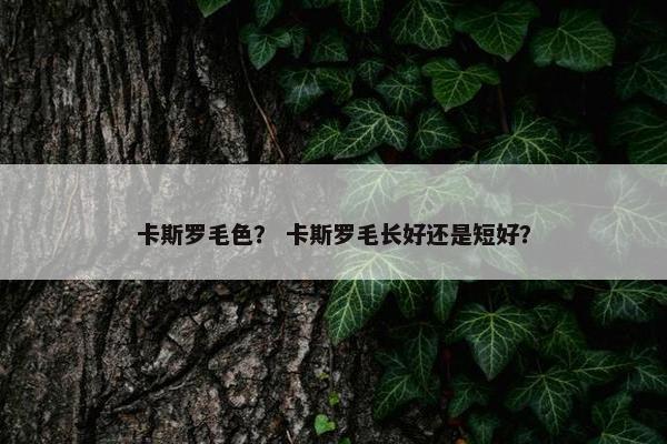卡斯罗毛色？ 卡斯罗毛长好还是短好？