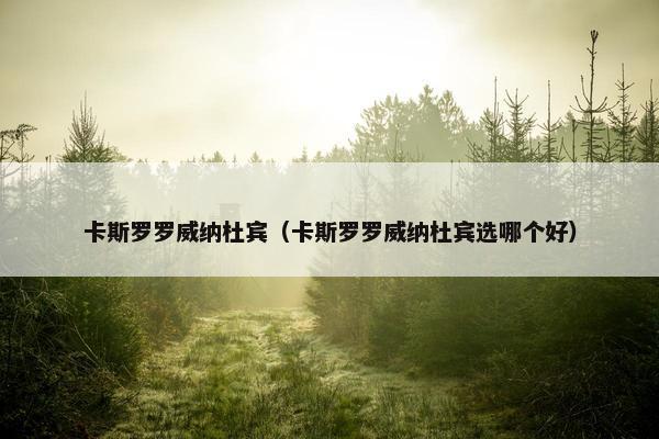 卡斯罗罗威纳杜宾（卡斯罗罗威纳杜宾选哪个好）