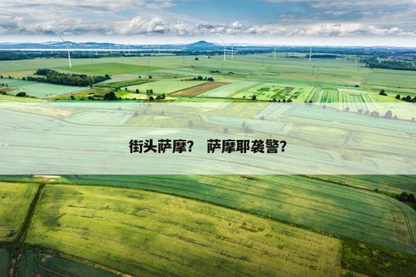 街头萨摩？ 萨摩耶袭警？