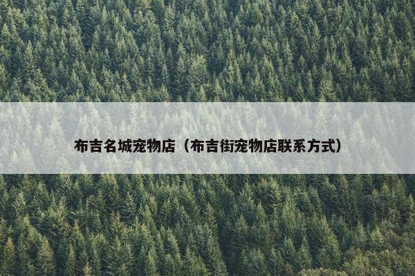 布吉名城宠物店（布吉街宠物店联系方式）