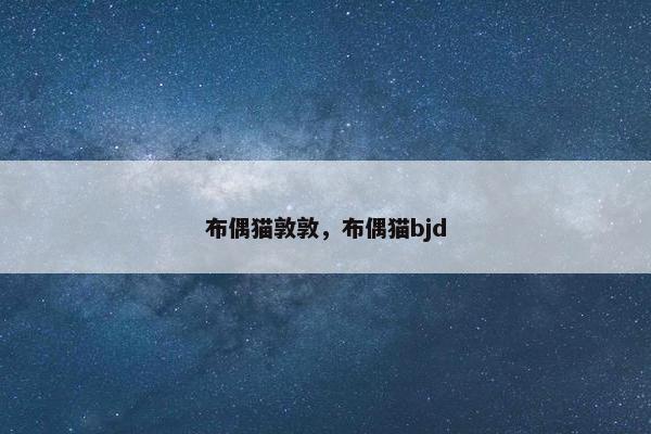 布偶猫敦敦，布偶猫bjd
