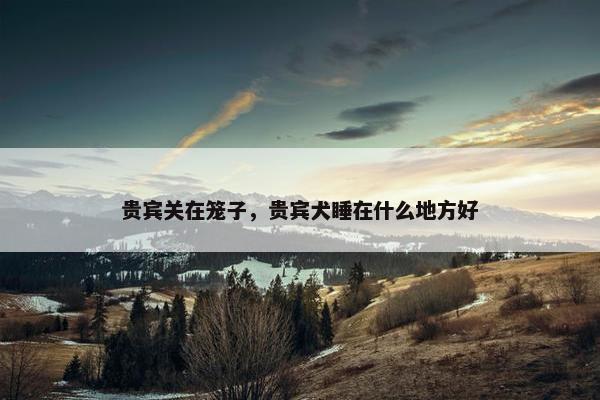 贵宾关在笼子，贵宾犬睡在什么地方好