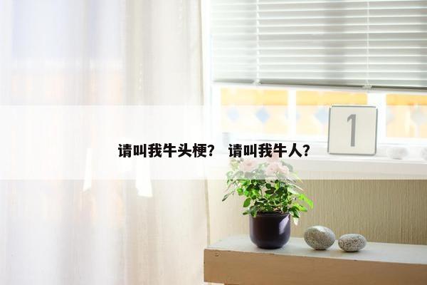 请叫我牛头梗？ 请叫我牛人？