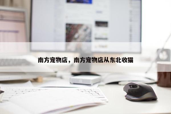 南方宠物店，南方宠物店从东北收猫