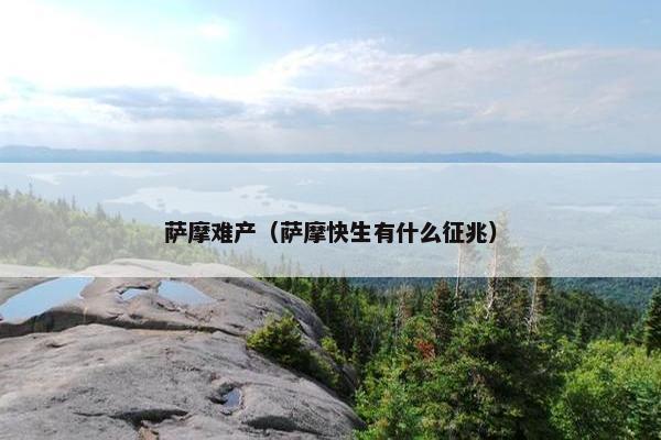 萨摩难产（萨摩快生有什么征兆）