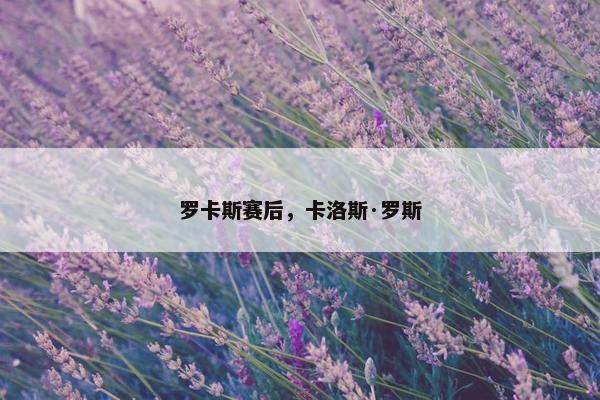 罗卡斯赛后，卡洛斯·罗斯