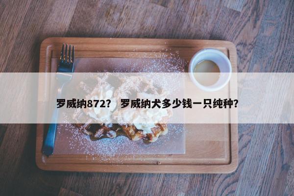 罗威纳872？ 罗威纳犬多少钱一只纯种？