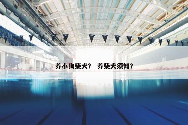 养小狗柴犬？ 养柴犬须知？