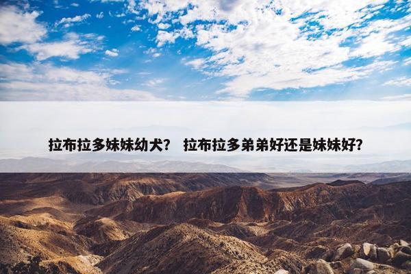 拉布拉多妹妹幼犬？ 拉布拉多弟弟好还是妹妹好？
