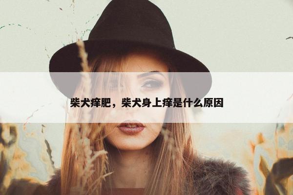 柴犬痒肥，柴犬身上痒是什么原因