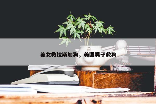 美女救拉斯加狗，美国男子救狗