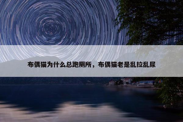 布偶猫为什么总跑厕所，布偶猫老是乱拉乱尿