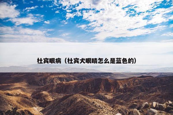 杜宾眼病（杜宾犬眼睛怎么是蓝色的）