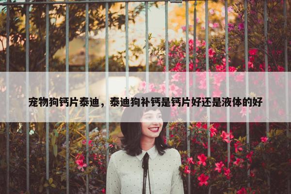 宠物狗钙片泰迪，泰迪狗补钙是钙片好还是液体的好