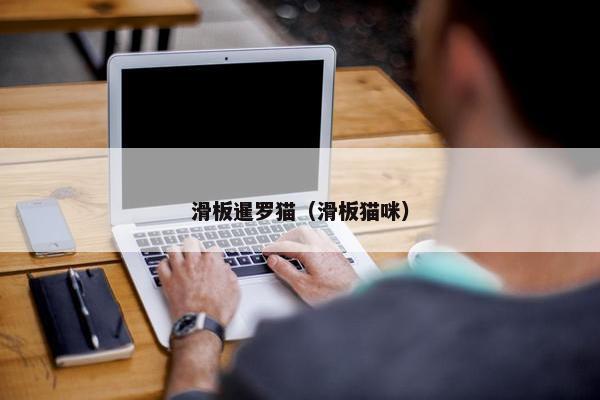 滑板暹罗猫（滑板猫咪）