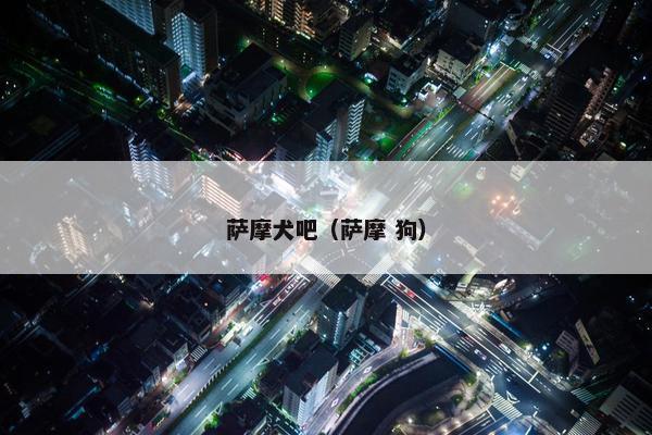萨摩犬吧（萨摩 狗）