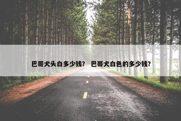 巴哥犬头白多少钱？ 巴哥犬白色的多少钱？