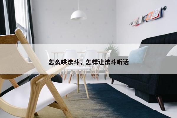 怎么哄法斗，怎样让法斗听话