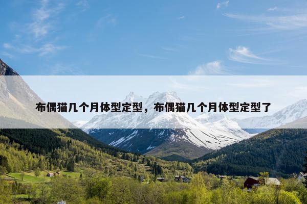布偶猫几个月体型定型，布偶猫几个月体型定型了