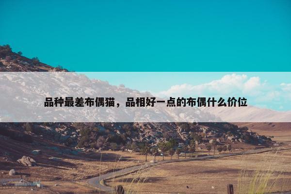 品种最差布偶猫，品相好一点的布偶什么价位