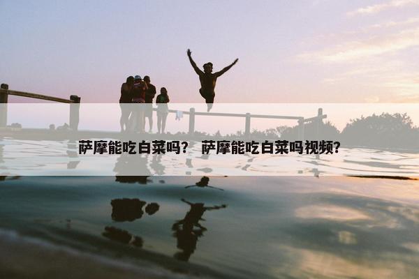 萨摩能吃白菜吗？ 萨摩能吃白菜吗视频？
