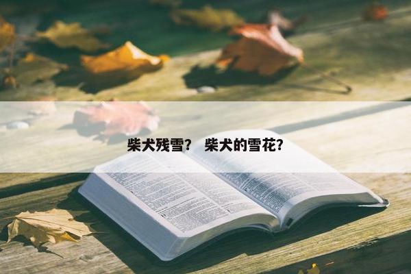 柴犬残雪？ 柴犬的雪花？